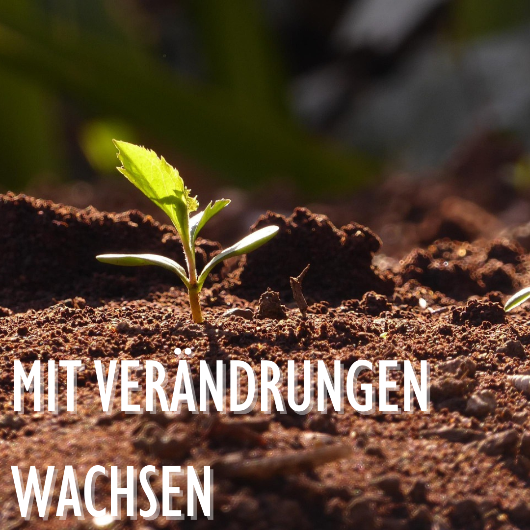 Mit Veränderungen wachsen | Sonntag | 22.03.26 | 15-18 Uhr |