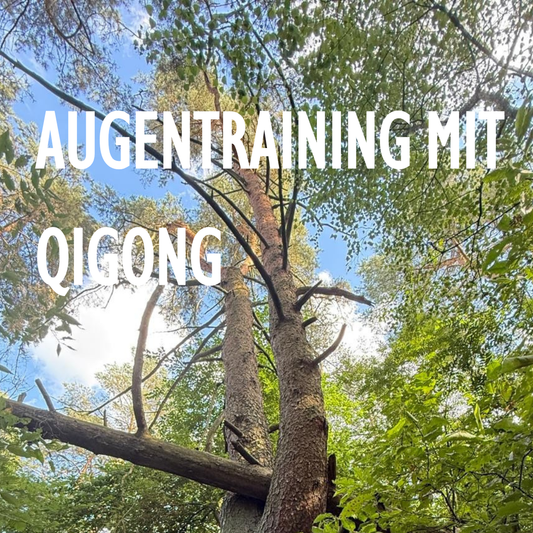 Augentraining mit Qigong | Sonntag | 23.11.25 | 10-16 Uhr |