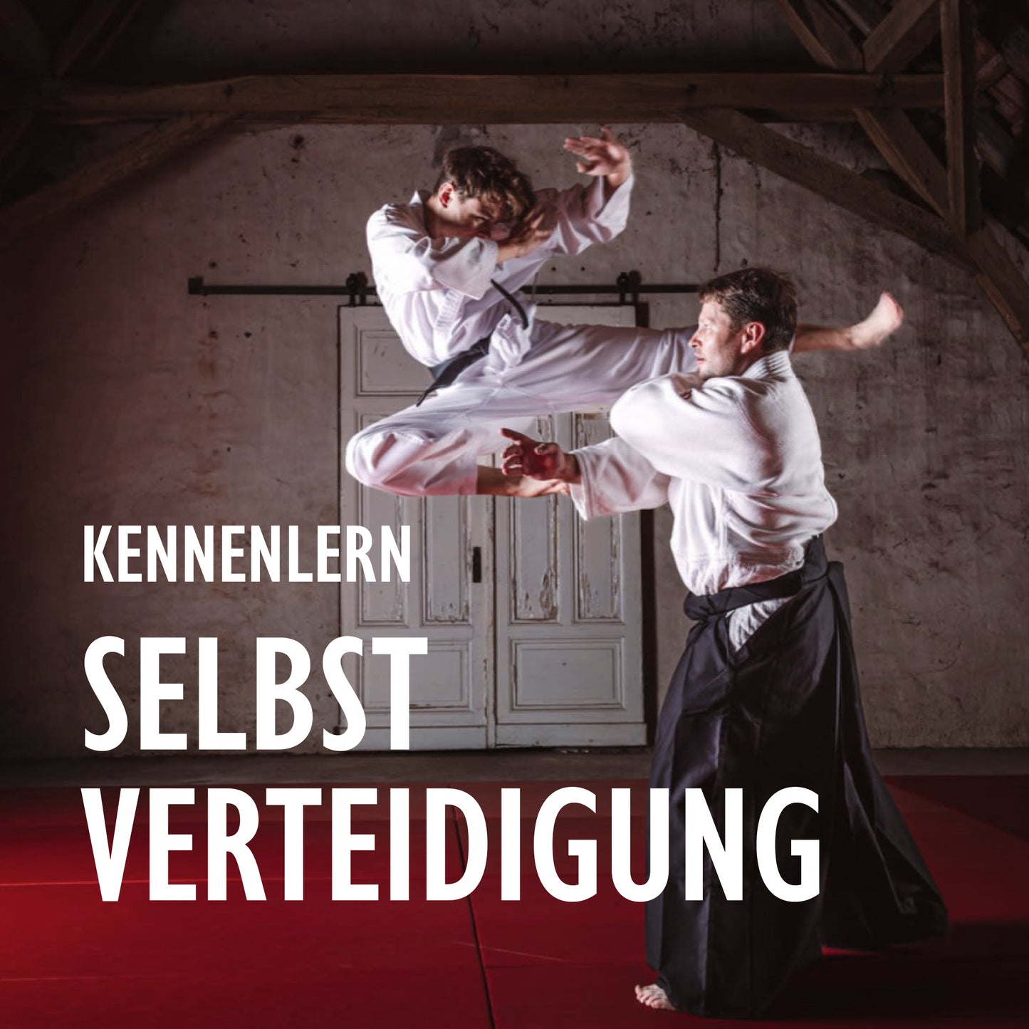 Kennenlern-Workshop Kampfkünste & Selbstverteidigung | Termine auf Anfrage