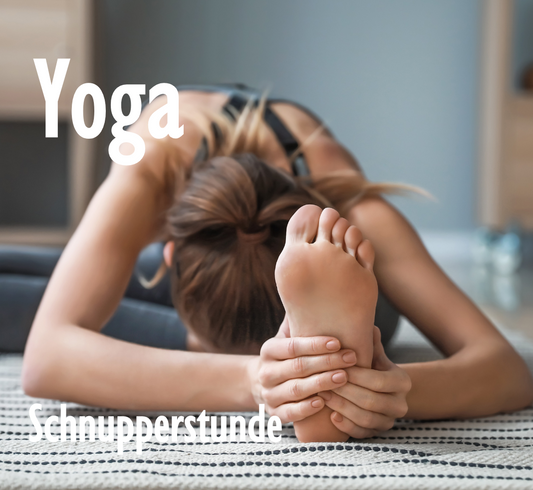 Yoga - Schnupperstunde | Montag | 23.06.25 | 18.30 - 19.30 |