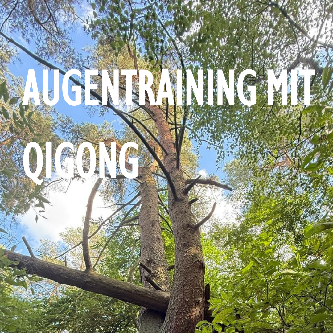 Augentraining mit Qigong | Sonntag | 23.11.25 | 10-16 Uhr |