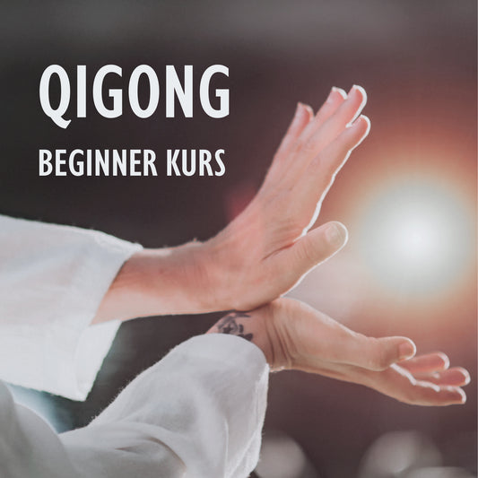 Qigong Beginner Kurs | 6 x Workshop dienstags | 19:45–21:15 Uhr